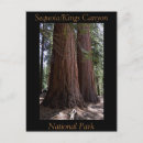 Search for kings postcards Kings canyon national park