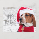 Search for pampered pets postcards Looking away