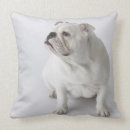 Search for english bulldog cushions Animals