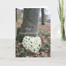 Search for french sympathy cards Francais