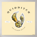 Search for snitches posters Wizard