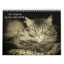 Search for black and white cat calendars Photography