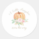 Search for gold pumpkin stickers Girl