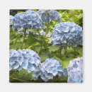 Search for blue shade magnets Photography