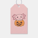 Search for axolotl halloween Pumpkin