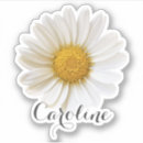 Search for and white floral electronics Daisies
