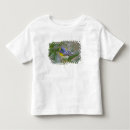 Search for ditto tshirts Usa