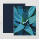 Search for succulent postcards Desert