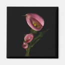 Search for multi region photography Plants