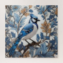Search for blue jays puzzles Nature