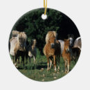 Search for miniature horse christmas tree decorations Bob langrish