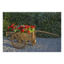 Search for carte antique posters Flower