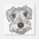 Search for schnauzers magnets Puppies