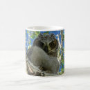 Search for owl mugs Wildlife