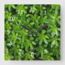 Search for green moss art Botanical