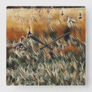 Search for duck clocks Birds