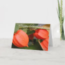 Search for japanese lantern cards Photography