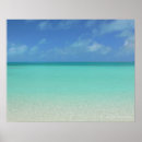Search for turks and caicos art Caribbean
