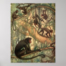 Search for monkey face posters Primates