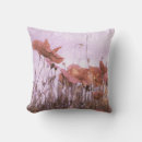 Search for red poppy cushions Meadow
