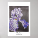 Search for iris posters Picture