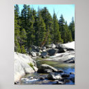 Search for the ca posters Trees