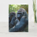 Search for monkey get well cards Primate