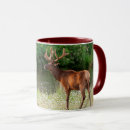 Search for danita delimont mugs Bull