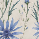 Search for blue cornflower art Watercolor