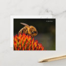 Search for pollinating postcards Nature photography
