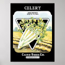 Search for celery posters Vegetable