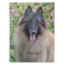 Search for belgian notebooks Tervuren