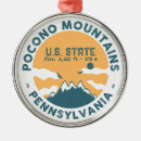 Search for bear christmas tree decorations Climbing