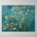 Search for almond tree posters Van gogh