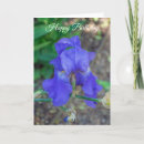 Search for iris birthday cards Blue