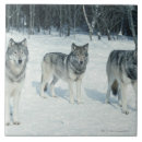 Search for three animals tiles Horizontal