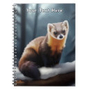 Search for pine marten Canada