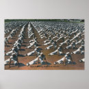 Search for navy recruiting posters Vintage