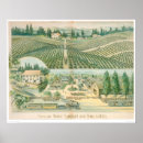 Search for wine cellar posters Vineyard