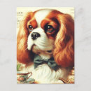 Search for charles spaniel postcards Cute