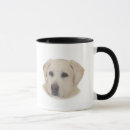 Search for reggie Dog