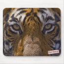Search for tiger eyes mousepads India