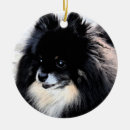 Search for black pomeranian christmas tree decorations Dog