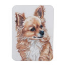 Search for long haired dog magnets Chihuahua