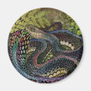 Search for snakes magnets Nature
