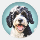 Search for portuguese water dog stickers Animal