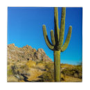 Search for cactus tiles Arizona