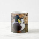 Search for mallard ducks mugs Animals