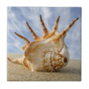 Search for relax tiles Sand