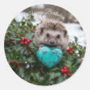 Search for red and turquoise stickers Cute